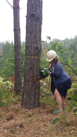 trying out the new ELECTRIC chain saw