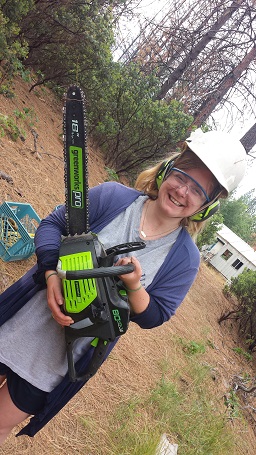 trying out the new ELECTRIC chain saw